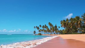 Coconut palms on a sandy sunny beach of the Caribbean Sea. A paradise island with picturesque natural scenery. Summer vacation and tropical beach holiday concept. The best place for vacation.