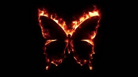 Burning Butterfly video, black background, composite material