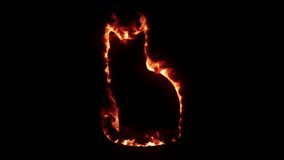 Animation of a cat on fire, black background, composite material