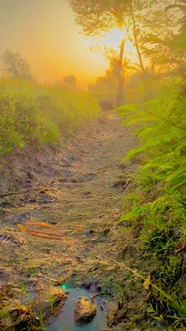 Nature view. Green Land. Beautiful sun view. Sun view in Green Land. Water Canal view.