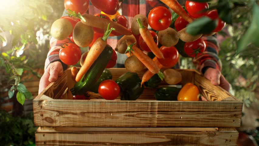 Super Slow Motion of Falling Vegetable Mix into Wooden Box. Farmer Holding Box, Orchard on Background. Fresh Vegetable Harvest, Countryside and Farmers Concept. Filmed on High Speed Cinema Camera, 100