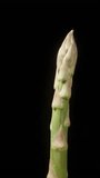 A single asparagus spear rotating on a black background. Isolate. close up Vertical video.