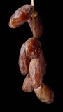 Dried dates on a branch rotating slowly, isolated on a black background. Vertical video.