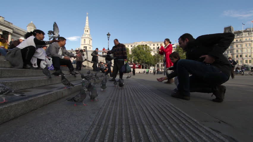 LONDON - OCTOBER 7, 2011: The shot pans as people feed pigeons on the Trafalgar