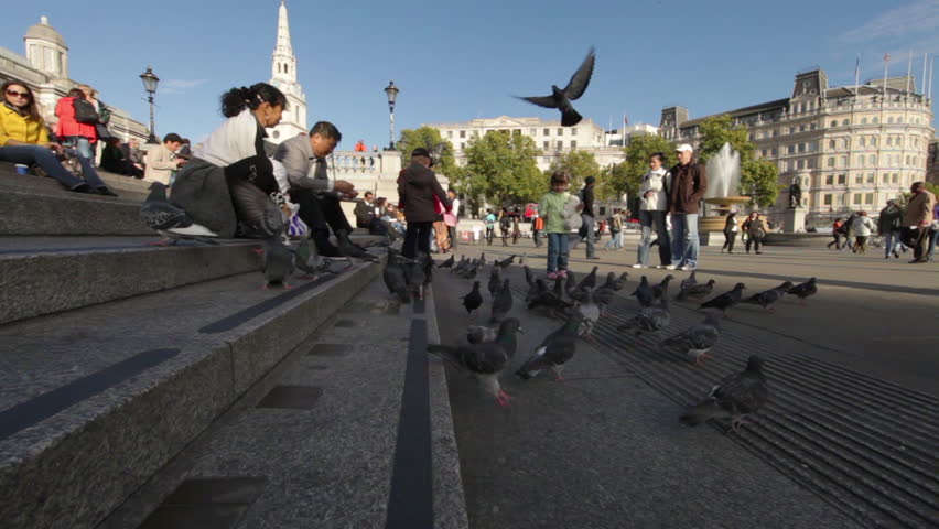 LONDON - OCTOBER 7, 2011: People feed the pigeons at Trafalgar Square 