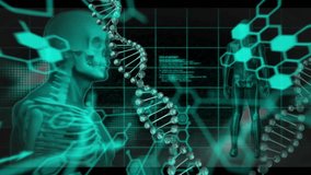 Animation of scientific data processing over human skeleton. Global science, computing and data processing concept digitally generated video. - Powered by Shutterstock - Get 15% off with code: PIKWIZARD15