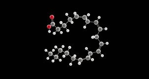 Arachidonic acid molecule, rotating 3D model of omega-6 fatty acid, looped video on a black background