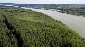 Aerial footage of lush green woods next to river Danube