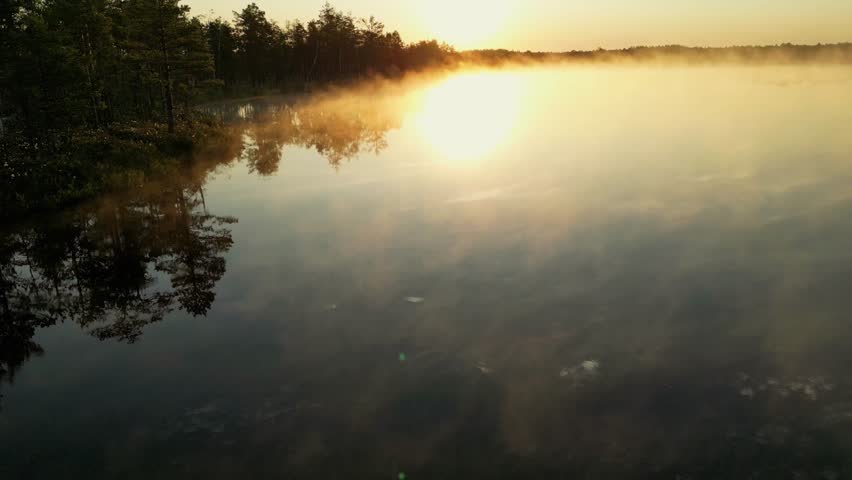 Morning Fog Over Lake, Golden Sunrise Casting Orange Mist. Tranquil Reflections Amidst Forest Backdrop. Captivating Misty Landscape in Estonia