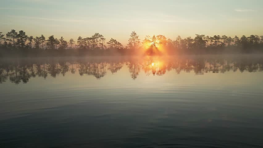 Morning Fog Over Lake, Golden Sunrise Casting Orange Mist. Tranquil Reflections Amidst Forest Backdrop. Captivating Misty Landscape in Estonia
