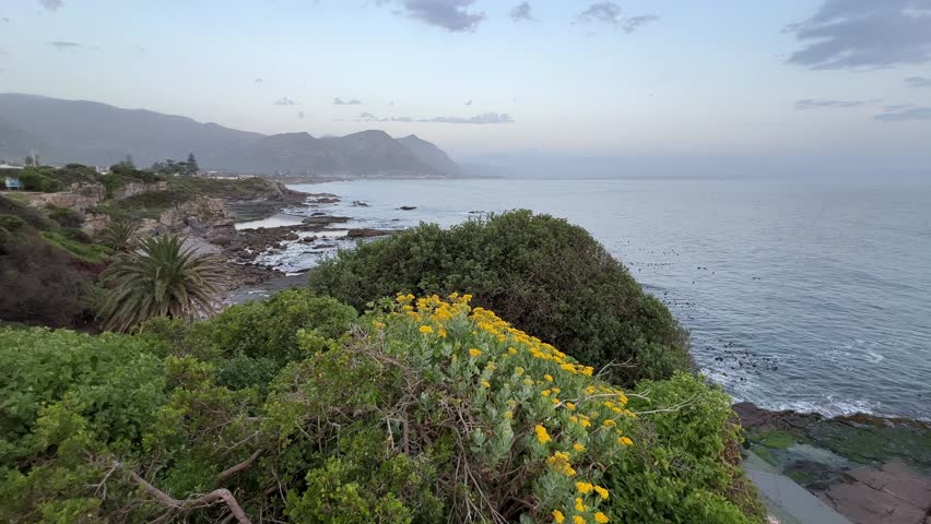 Sunset on the whale coast of Hermanus with mountain views and Walker Bay Royalty-Free Stock Footage #3465187763