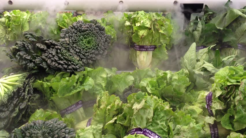 fresh vegetable in super market