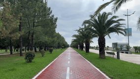 4K horizontal video. Camera moves along red bicycle path on waterfront of Batumi. Sidewalk. White road markings, pedestrian crossing, palm tree. Concept of tourism, travel, summer vacation, holiday