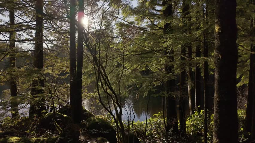 Scenic Lake and Trees on a Sunny Spring Day. Calm Water, Blue Sky. Rice Lake, North Vancouver, British Columbia, Canada.