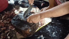 close-up video view of cleaning tilapia fish scales
