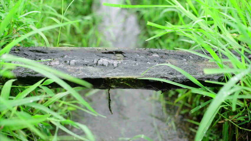 irrigation canal system on rice fields, close-up canal with flowing water