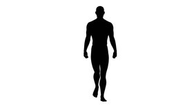 3D Render : a silhouettes walking male character with white background, front view - Powered by Shutterstock - Get 15% off with code: PIKWIZARD15