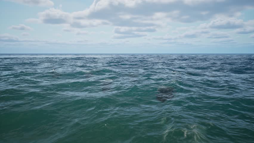 Mines float on the waves in the sea
