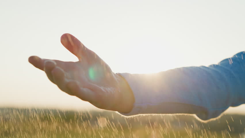 Child palms embrace tepid drops of rain closeup. Kid opens hands collect mild spring drizzle among natural surroundings. Genial downpour