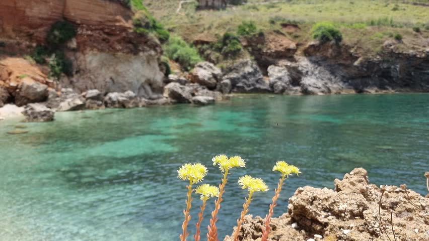 Mediterranean coastline in Sicily in summertime, Tourism and seascape scenario. Coastal landscape with turquoise water and yellow flowers