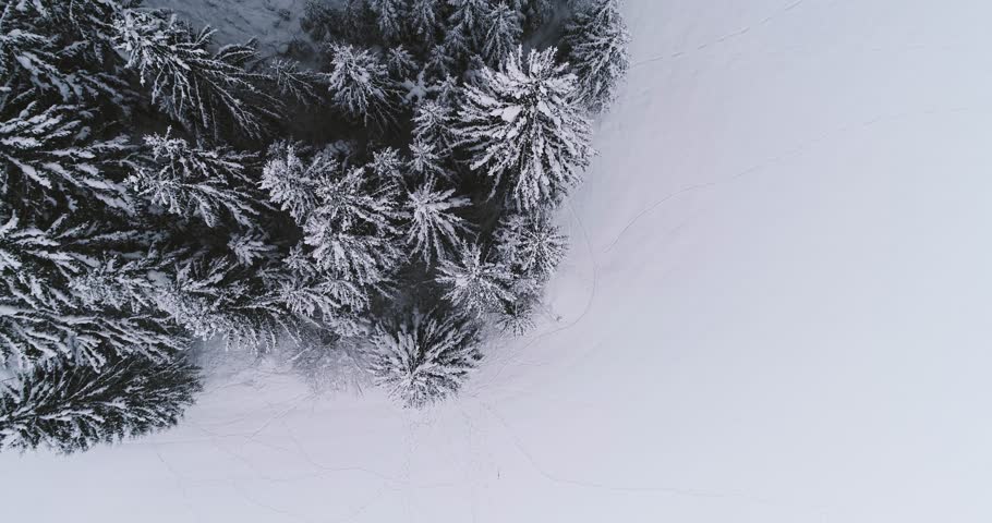 Aerial flight with drone over coniferous forest in winter in austria in salzburg | Shutterstock HD Video #34658950