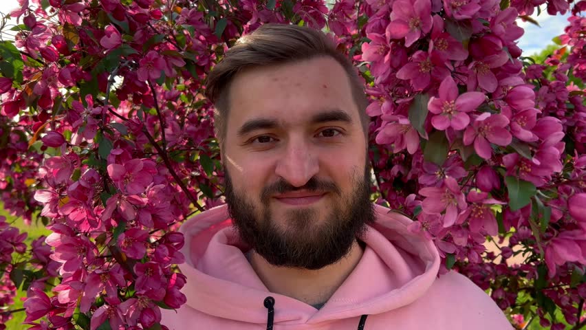 4K video. Male closeup portrait. Young adult bearded smiling white man in pink hoodie in city park near pink flowering Japanese cherry tree looks at camera. Little lilac flower. Spring Bloom Season Royalty-Free Stock Footage #3466037973