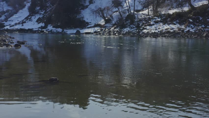 Drone photo: A family of ducks swimming in the Chikuma River