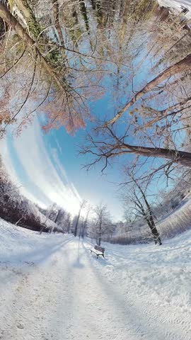 Immerse yourself in the enchanting ambiance of a snow-covered forest path. The video opens with a captivating fisheye view of the snow-clad trees and a jogger in the distance. As the camera pans down