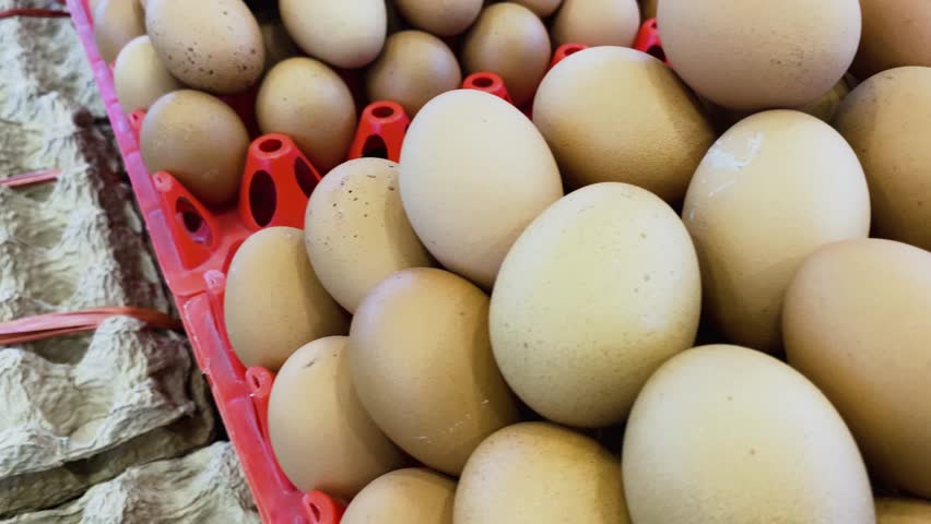 Seamless looping animation of enormous numbers of eggs. Raw hen's eggs. Fresh eggs for sale at a market. Healthy fresh food ingredients for breakfast. Animal products. Grocery. Chicken farm fresh eggs Royalty-Free Stock Footage #3466366467