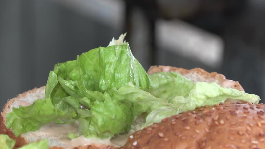 Best Burger Sandwich recipes in Gaza