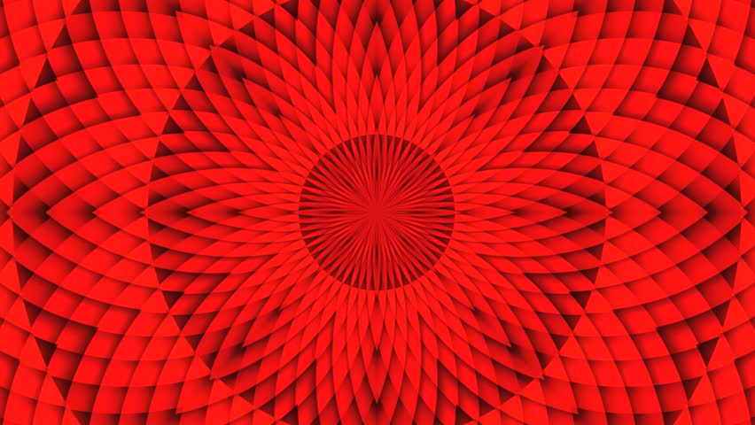Shutterstock Video