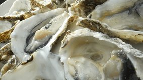 Oysters: Shells are rough, irregular, made of calcium carbonate. Vary in color and texture by species and environment. Some smooth, shiny others rough with barnacles. Interior often smooth and pearly.