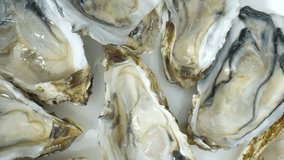Oysters: Rich cultural history, consumed for millennia, tied to traditions globally. Aquaculture vital for sustainable seafood, conserving natural populations.
