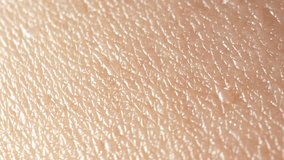 Skin texture is shaped by pore size, elasticity, and firmness. Clogged pores lead to unevenness, while aging reduces elasticity, resulting in sagging and less smooth skin. Hyperpigmentation concept. 
 - Powered by Shutterstock - Get 15% off with code: PIKWIZARD15