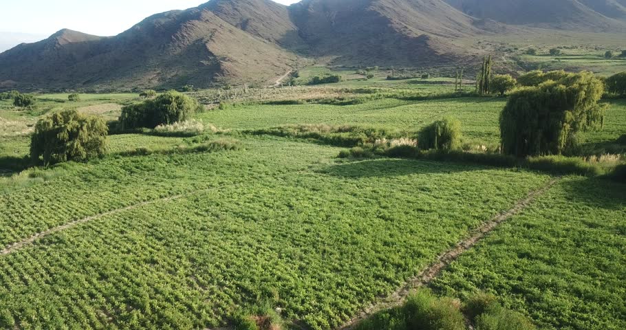 Beautiful mountain road in green landscape in northwest Argentina