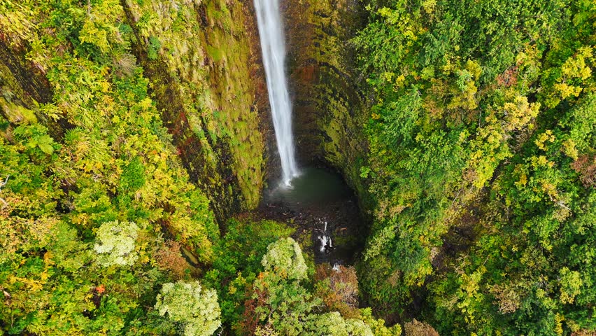 Aerial view of Waimoku falls, Maui, Hawaii. Royalty-Free Stock Footage #3466643719