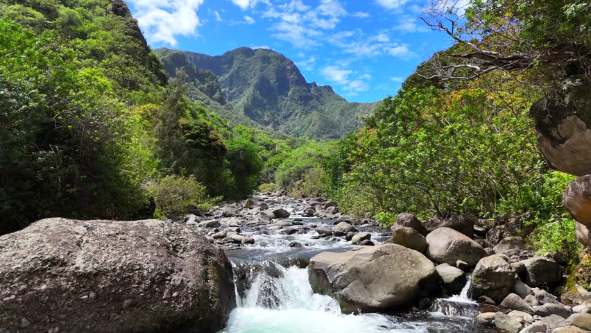 Aerial view of river in Maui island -  Hawaii