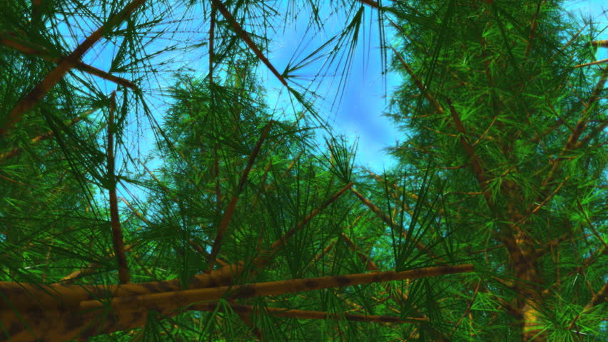 3d Animation in high definition of a journey through trees.