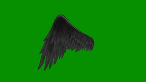 Angel wings high Resolution animated video green screen 4k, The video element of on a green screen background, Ultra High Definition, 4k video, on a green screen background.