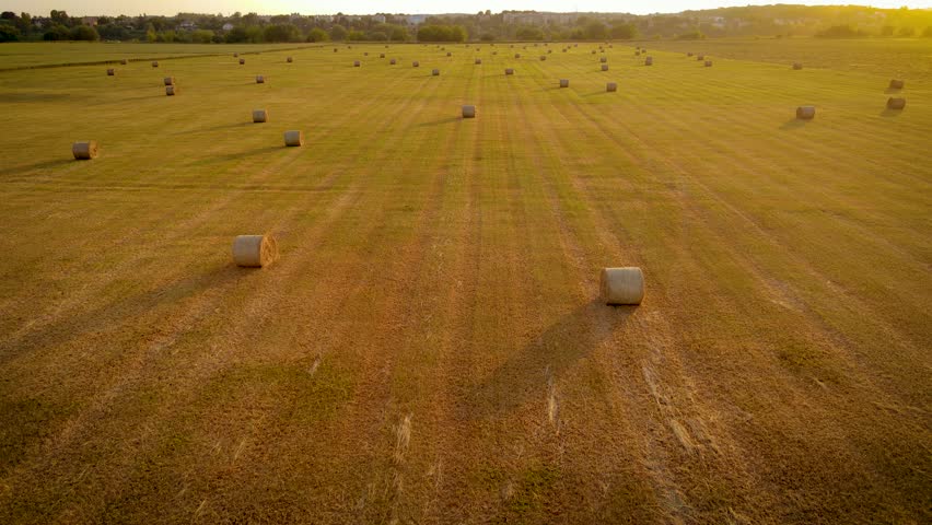 Aerial view hale bales in agricultural field at sunset behind rural meadow, farming grass in countryside, roll round bales ready for transportation and stacking. Work in agronomic farm and production