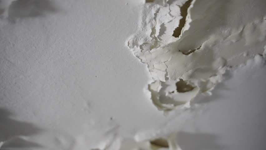 Peeling dry paint falling off wall or ceiling in bathroom or shower room in house or apartment. Close up - cracks of white paint falling apart in neglected place with moisture or humidity condensation