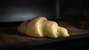 Croissants baking timelapse. One hand made croissants cooking - Powered by Shutterstock - Get 15% off with code: PIKWIZARD15