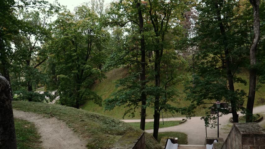 landscape of trees in the park