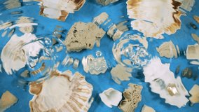 Imitation of the seabed. Oyster and scallop shells, sea pebbles on a blue background underwater. Drops fall on the surface of clear water. - Powered by Shutterstock - Get 15% off with code: PIKWIZARD15