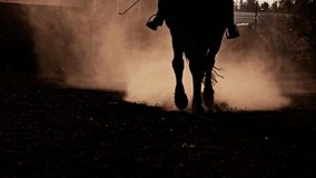 Close up horse hooves step ground at sunset. Dust and smoke swirls. Slow motion. Equestian sport and active lifestyle. Animals concept. - Powered by Shutterstock - Get 15% off with code: PIKWIZARD15