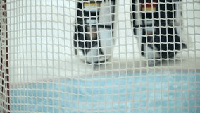 View behind the gate net on male hockey goalkeeper defending gate in costume and helmet and catching puck. Rear of hockey player at goal. Back view. Game on ice arena. - Powered by Shutterstock - Get 15% off with code: PIKWIZARD15