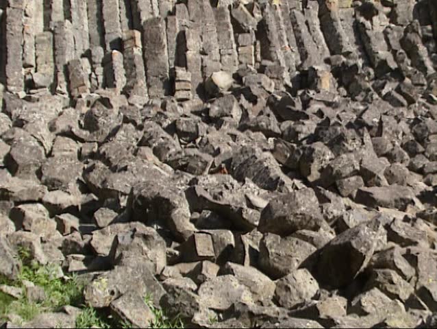 Sheepeater Cliff, vertical rock pillars in Yellowstone national park zoom in yellow bellied marmot sunbathing.