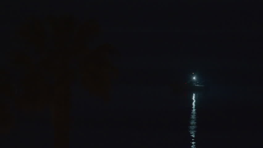 A small fishing boat with visible rods slowly passes by palm trees along the shoreline at night Royalty-Free Stock Footage #3467610035