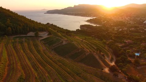 Aerial: French Riviera town Cassis just under some vineyards on the hill at golden sunset.