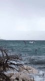 One day after Storm Ciarán - also called Emir - smashed into Krk Island with strong winds and driving rain. Beautiful rain curtain above the disquiet wavy sea surface near Njivice, Croatia.